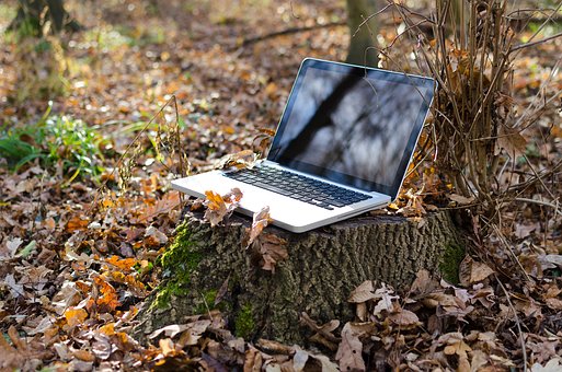 laptop in the woods